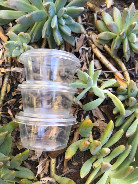 60ml Round Container