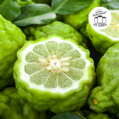 Bergamot Soy Melt