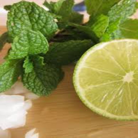 Wild Mint & Lime Soy Melt