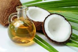 Coconut Milk & Honey Fragrance Oil - 100ml