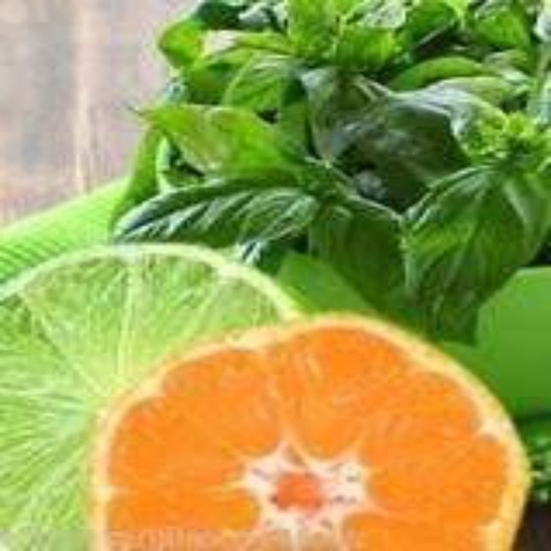 Lime Basil Mandarin Soy Melt