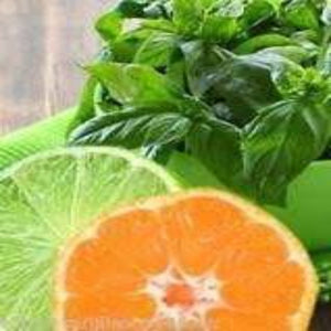 Lime Basil Mandarin Fragrance Oil - 100ml