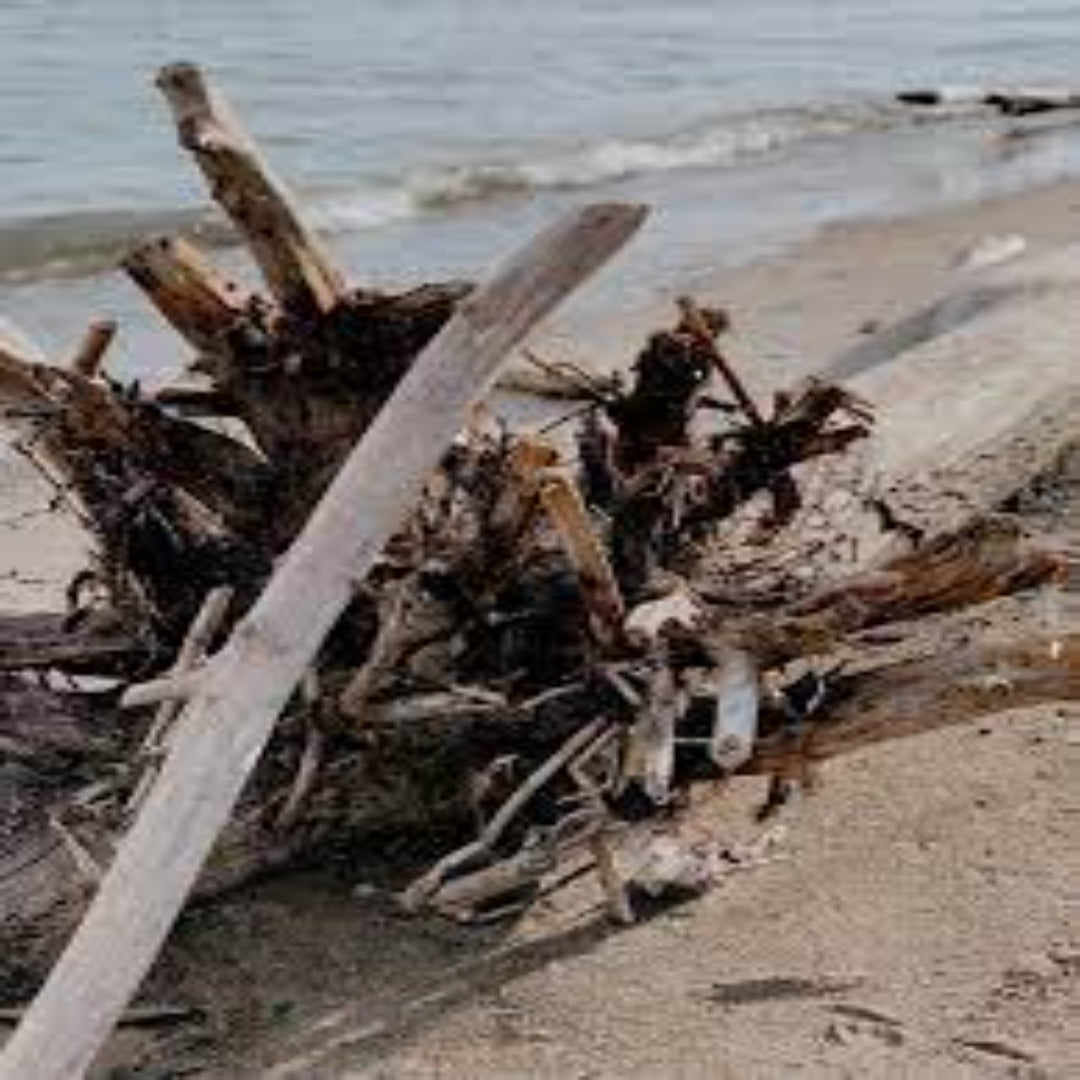 Sea Salt & Driftwood - Soy Melt